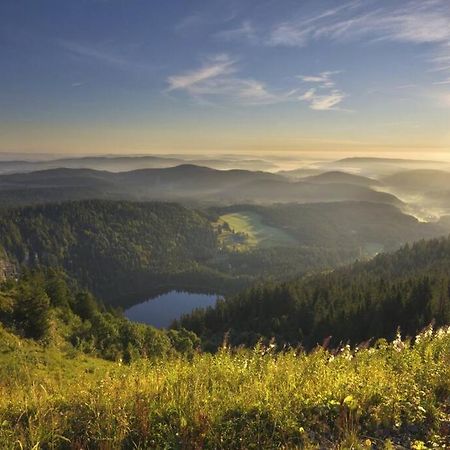 Waldloft Titisee מראה חיצוני תמונה