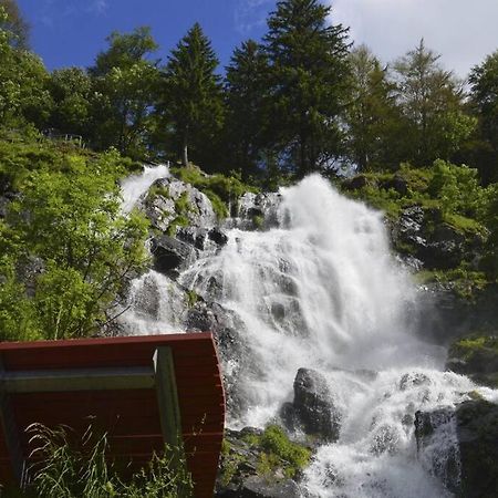 Waldloft Titisee מראה חיצוני תמונה