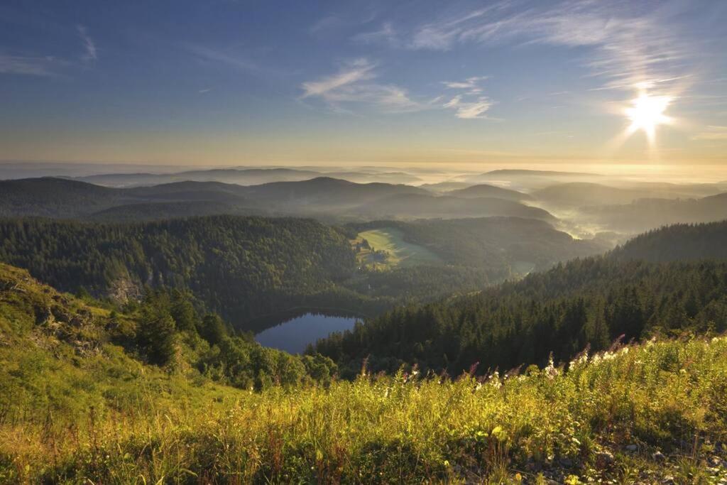 Waldloft Titisee מראה חיצוני תמונה