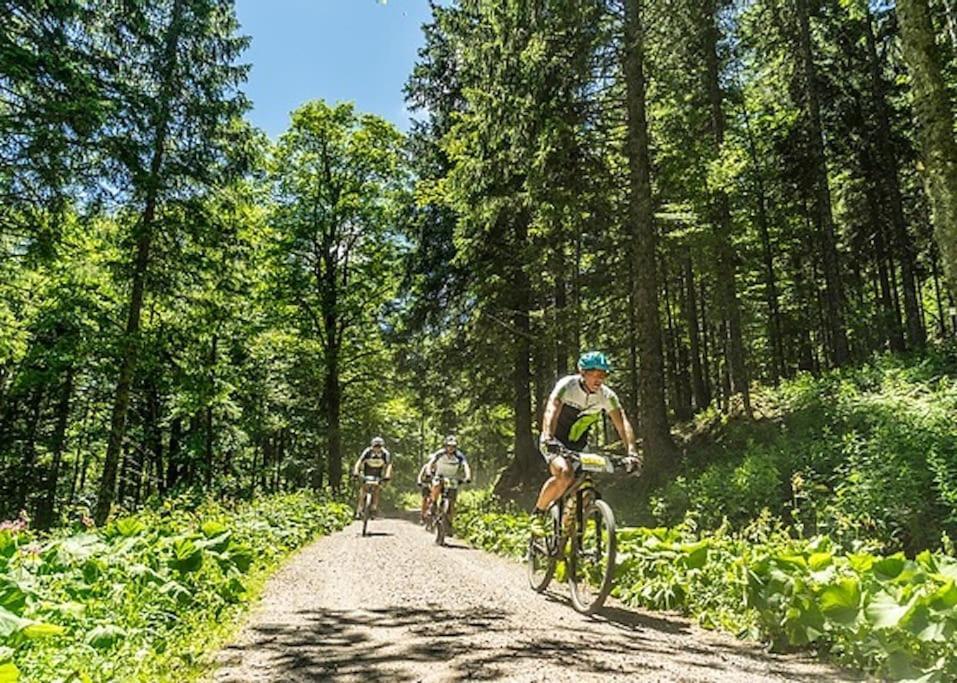 Waldloft Titisee מראה חיצוני תמונה