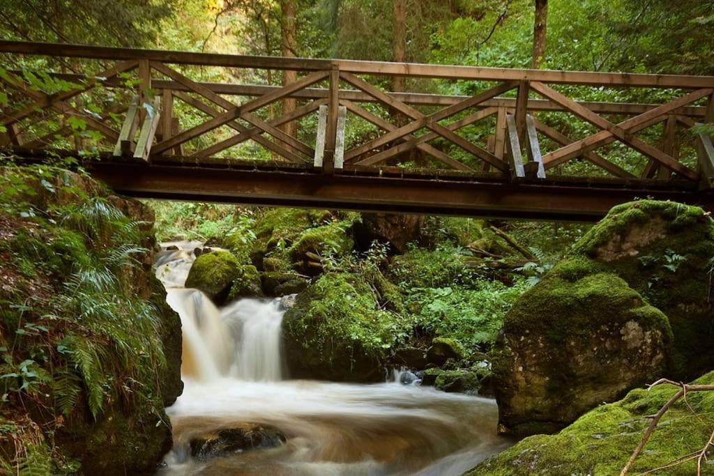 Waldloft Titisee מראה חיצוני תמונה