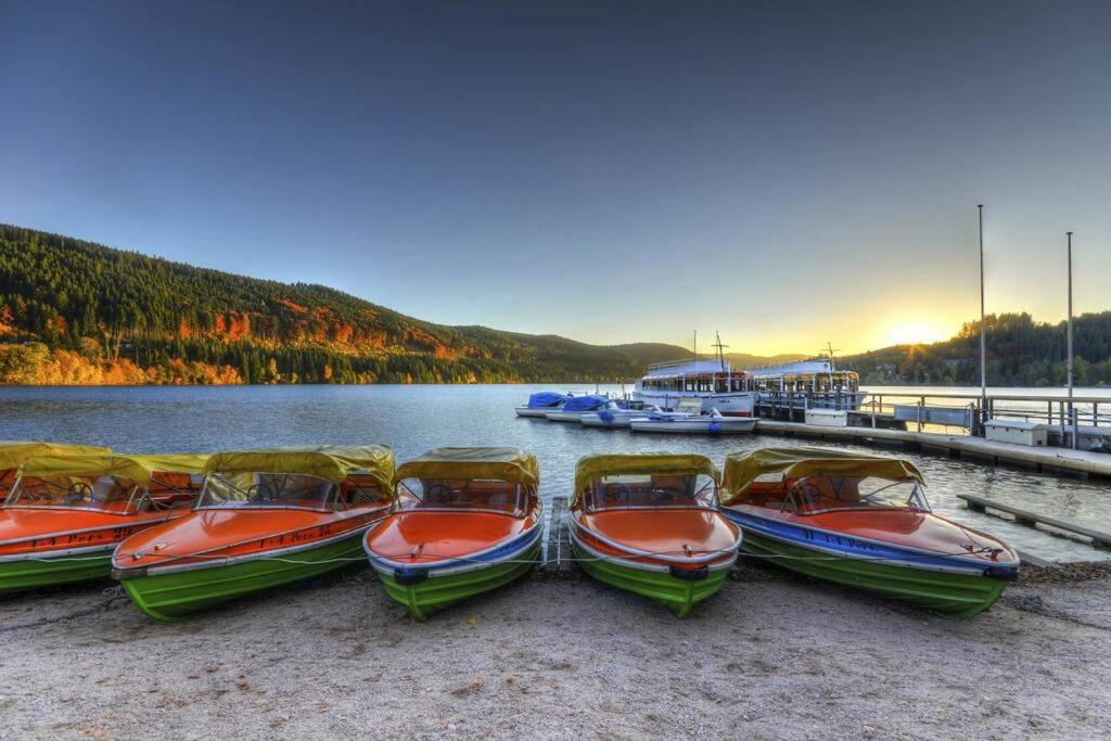 Waldloft Titisee מראה חיצוני תמונה